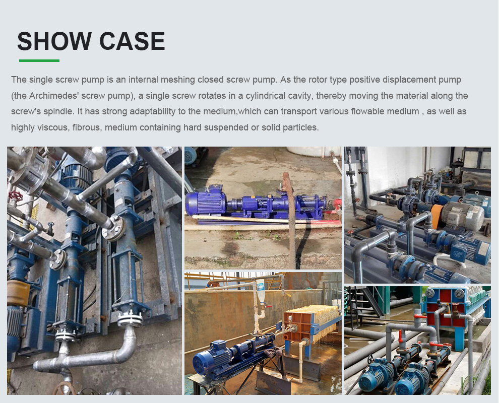 Case of GF Sanitary Single screw pump Case of GF Sanitary Single screw pump
