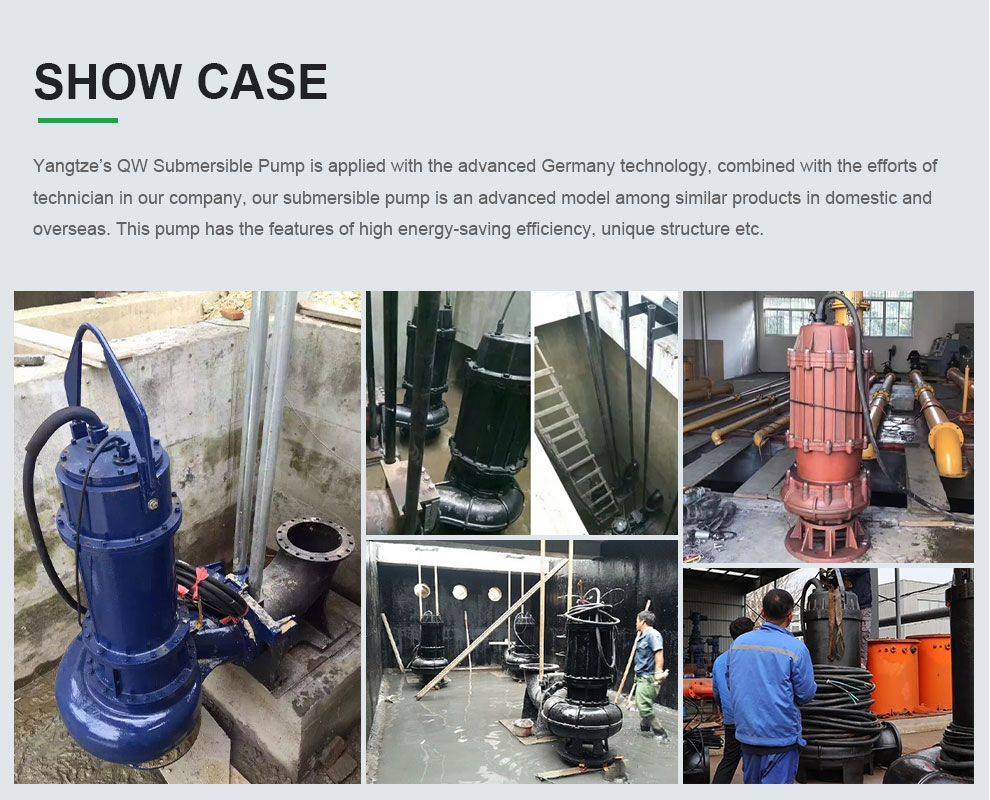 Case of QW Submersible sewage water Pump