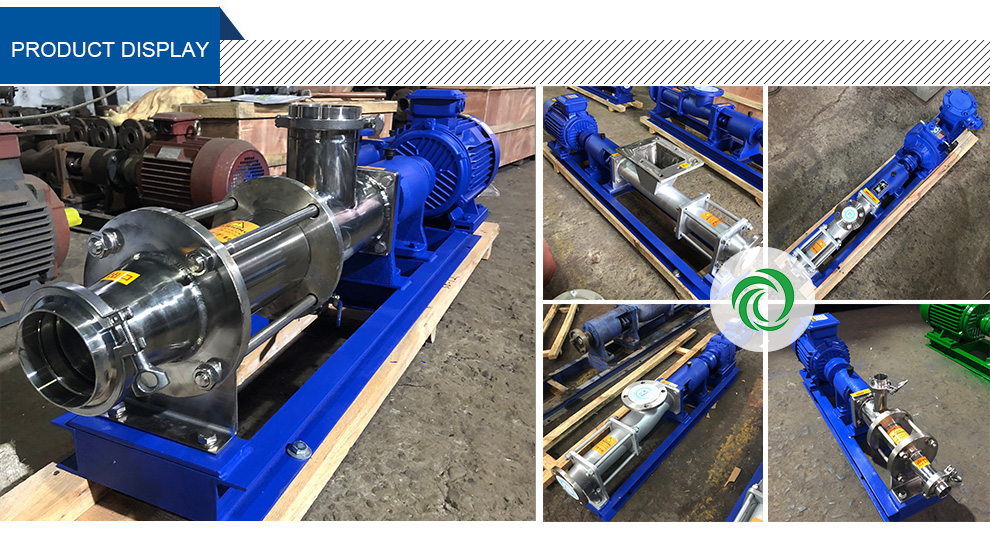 GF Sanitary Single screw pump